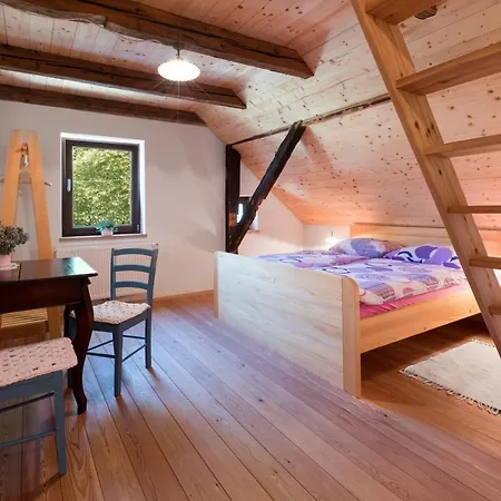 Πανσιόν Homestead Farm Tesnak Gorenja Vas (Gorenja Vas-Poljane)