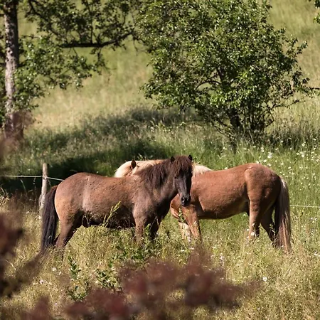 Guest house Homestead Farm Tesnak Gorenja Vas (Gorenja Vas-Poljane)