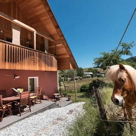 Homestead Farm Tesnak Πανσιόν *