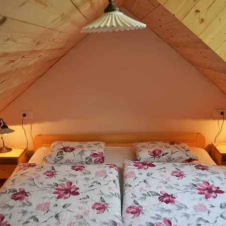 Homestead Farm Tesnak Guest house 3*