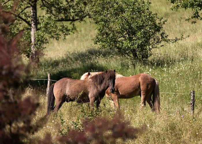 Penzion Homestead Farm Tesnak Gorenja Vas (Gorenja Vas-Poljane)